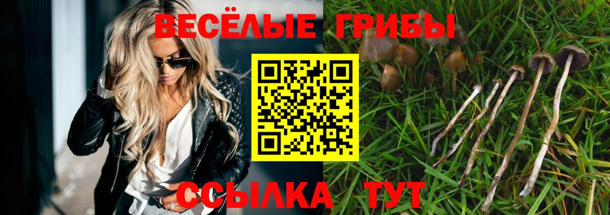 Псилоцибиновые грибы MAGIC MUSHROOMS Отрадный
