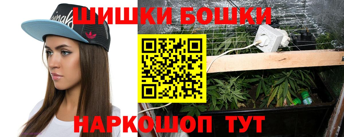 Шишки марихуана Bruce Banner  Бошки марихуана планчик  Вход с VPN  Отрадный 